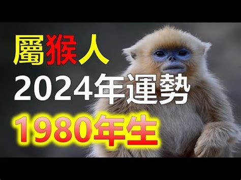 1980年生肖猴|1980年（37歲）猴猴人的一生命運：老一輩人的話不。